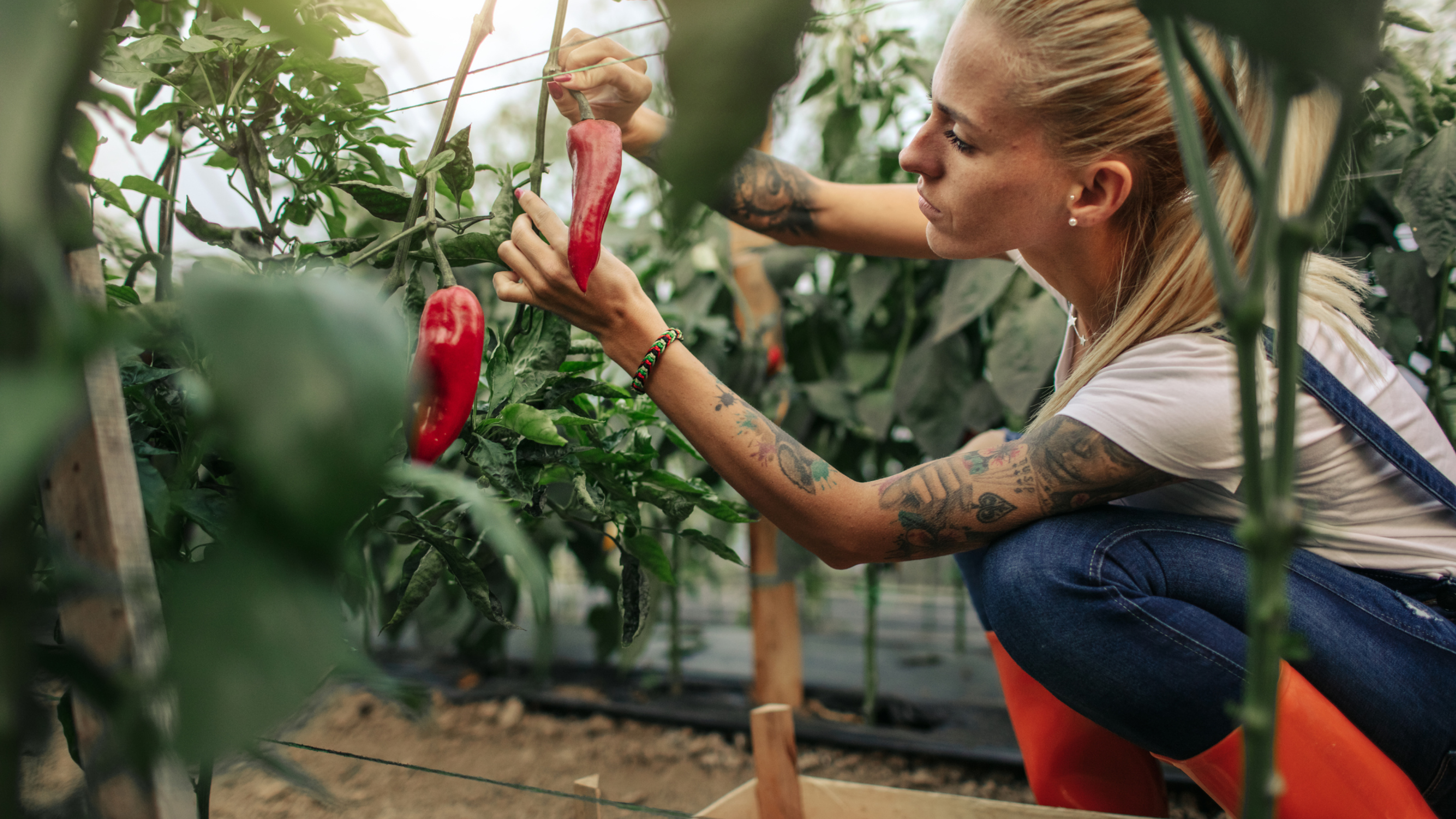 Hållbara leverantörer