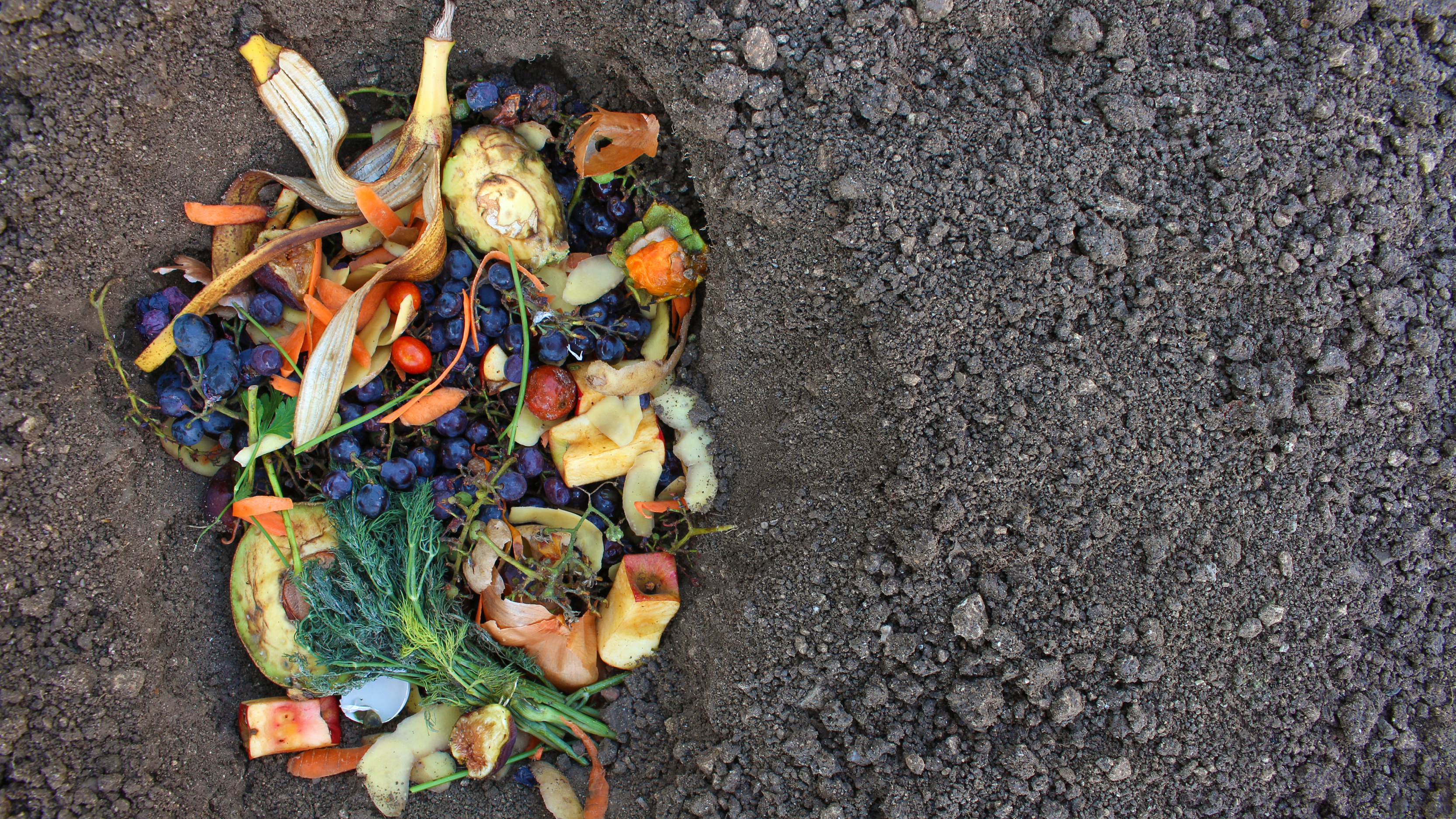 Minskat matsvinn och avfall