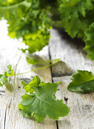 Grönkålsskott i Ask