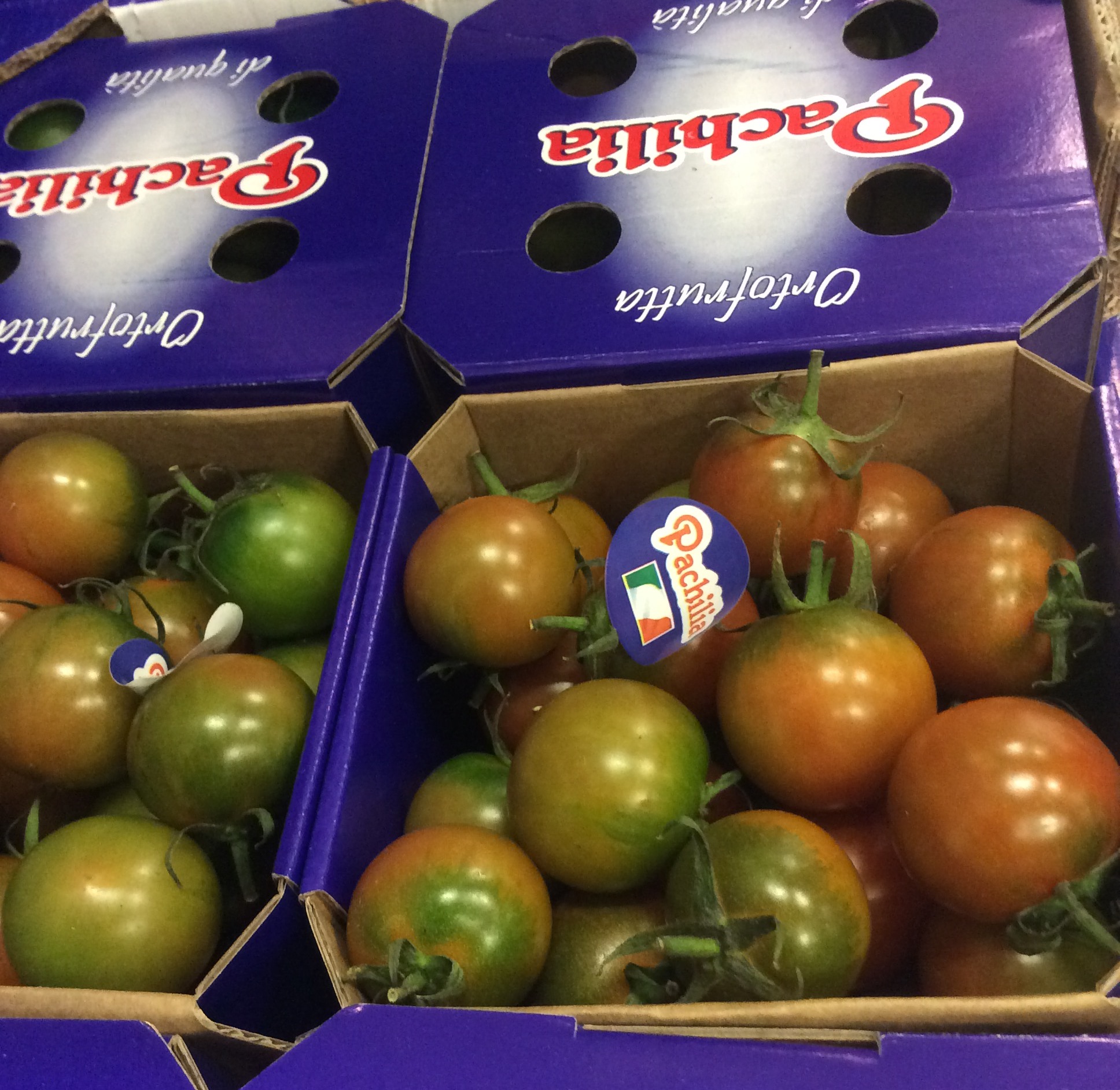 Tomat Camone Klass 1 Italien