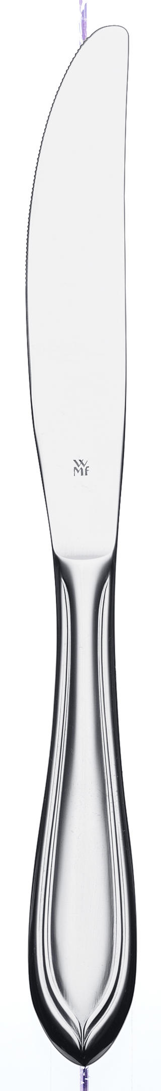 Flair Bordskniv 18/10 230mm