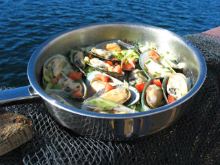 Gröna Musslor i Halvskal