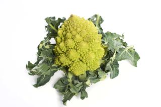 Romanesco