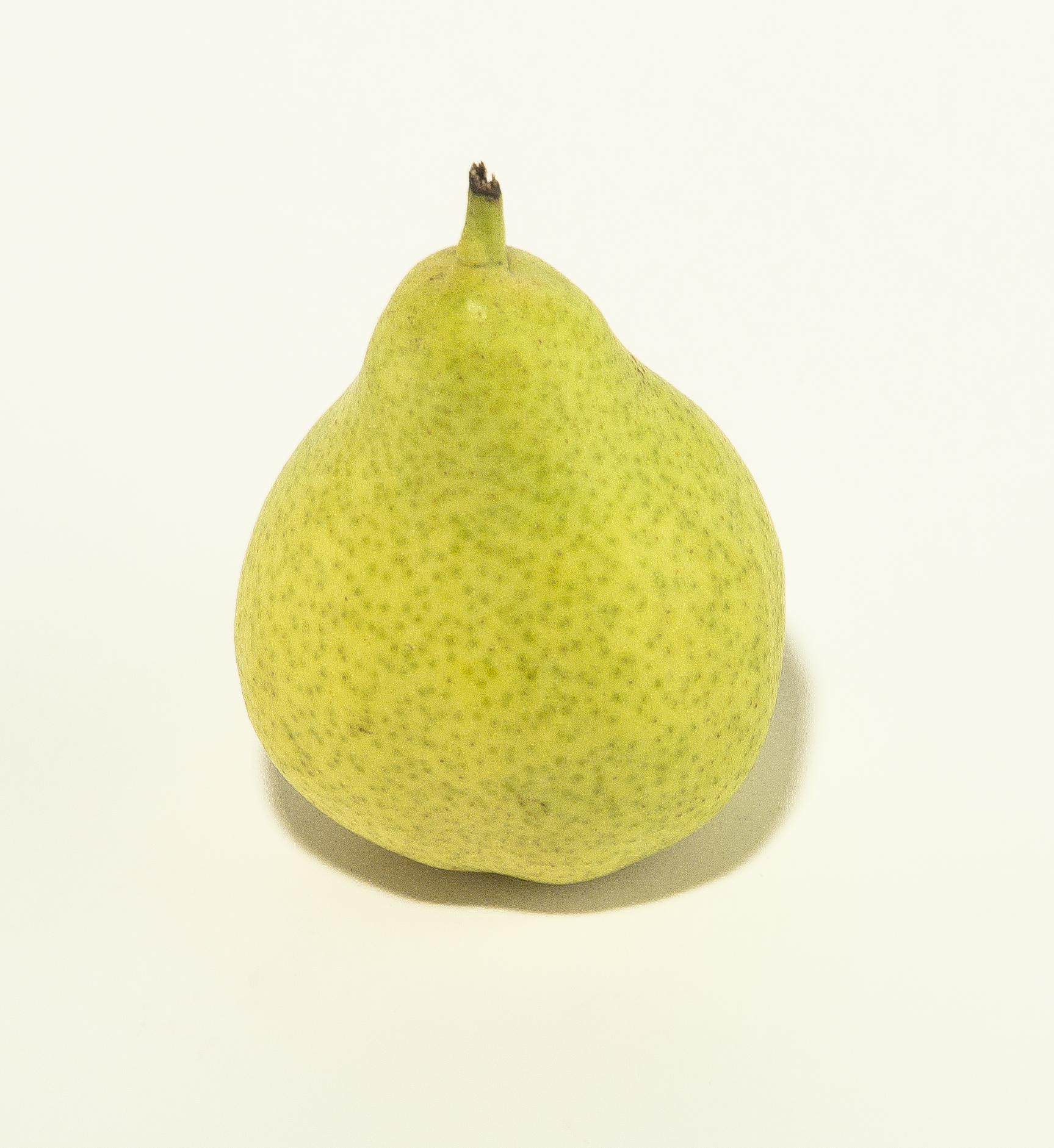 Päron Anjou Klass 1