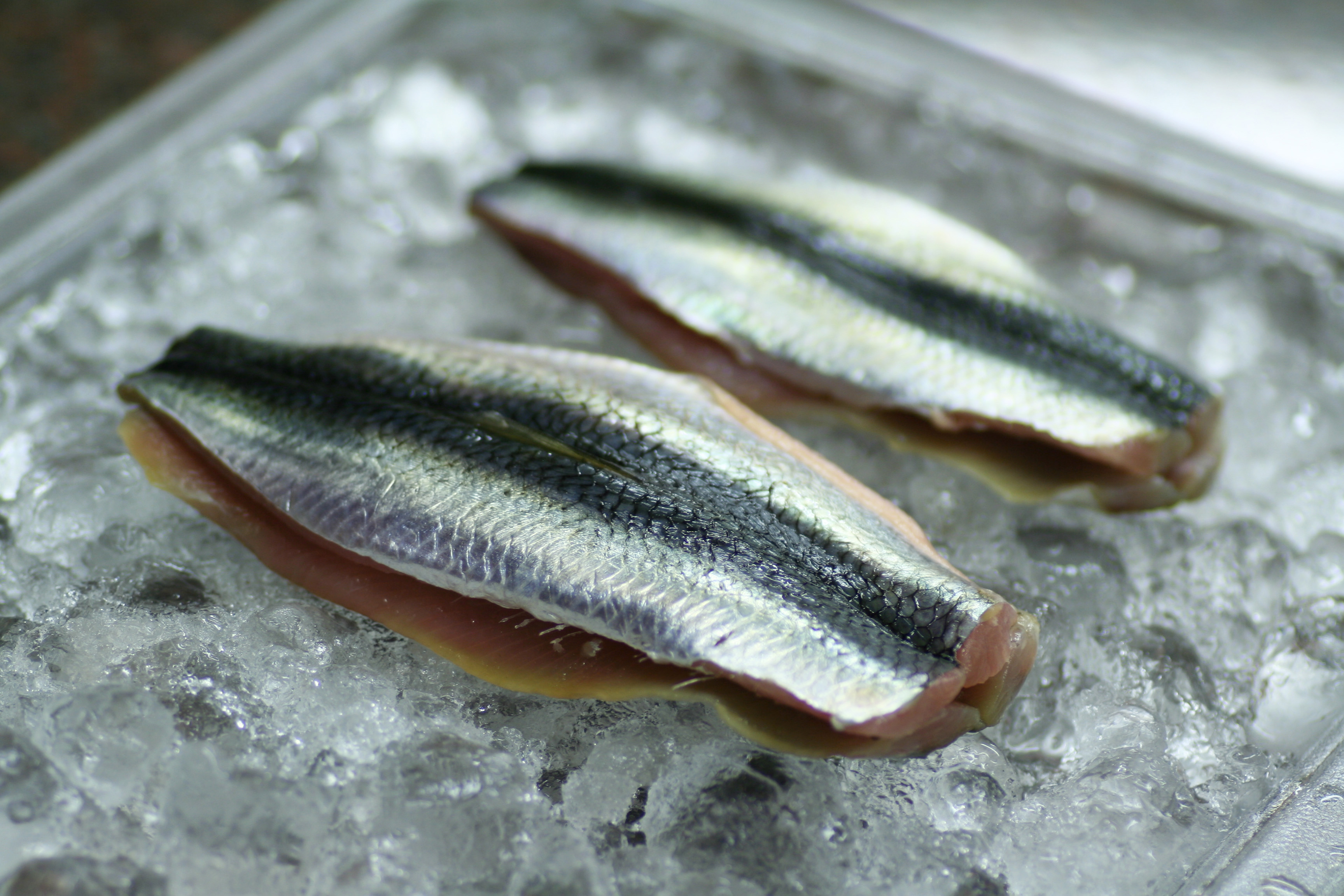 Sillfilé Dubbel 80-140g MSC