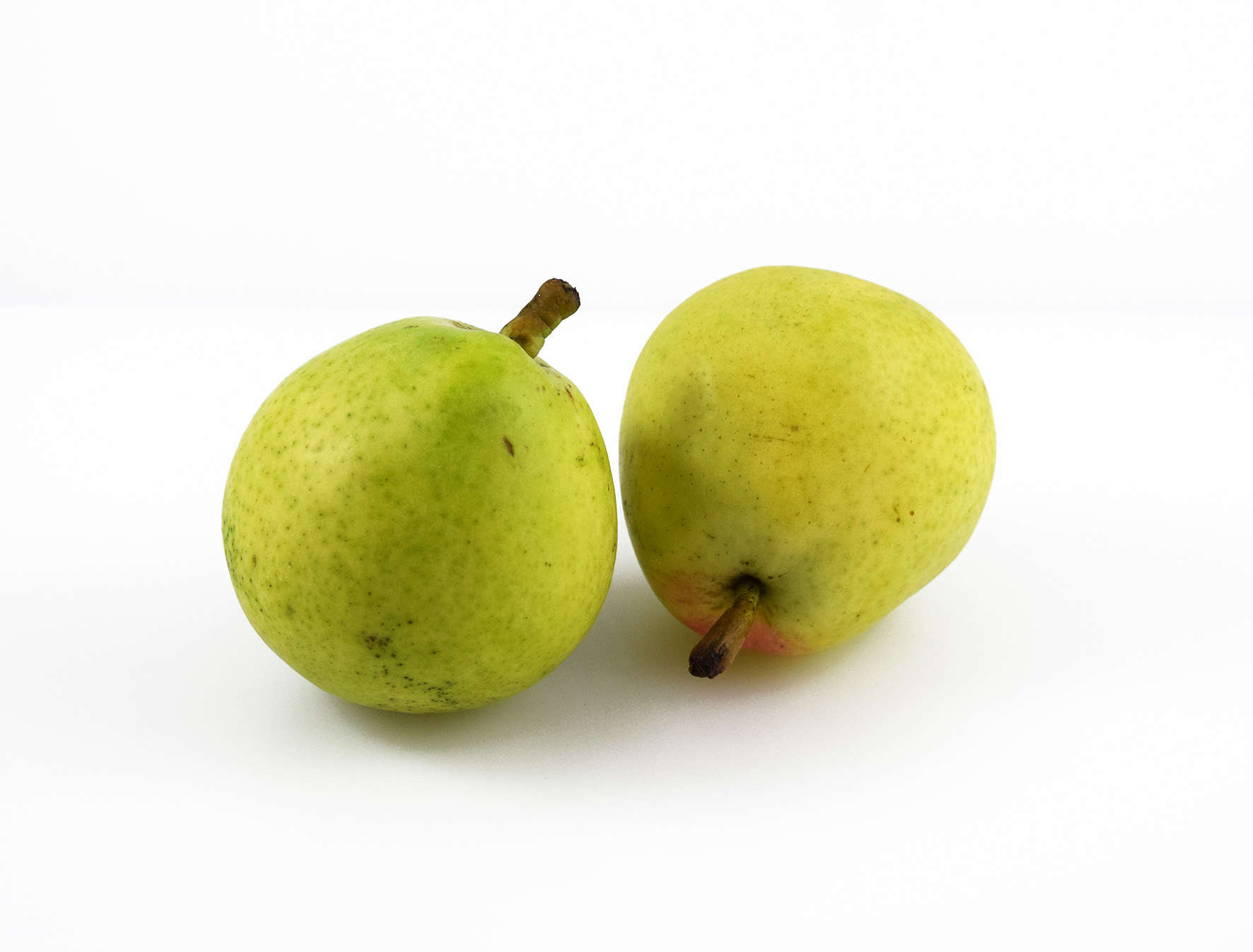 Päron Santa Maria Klass 1