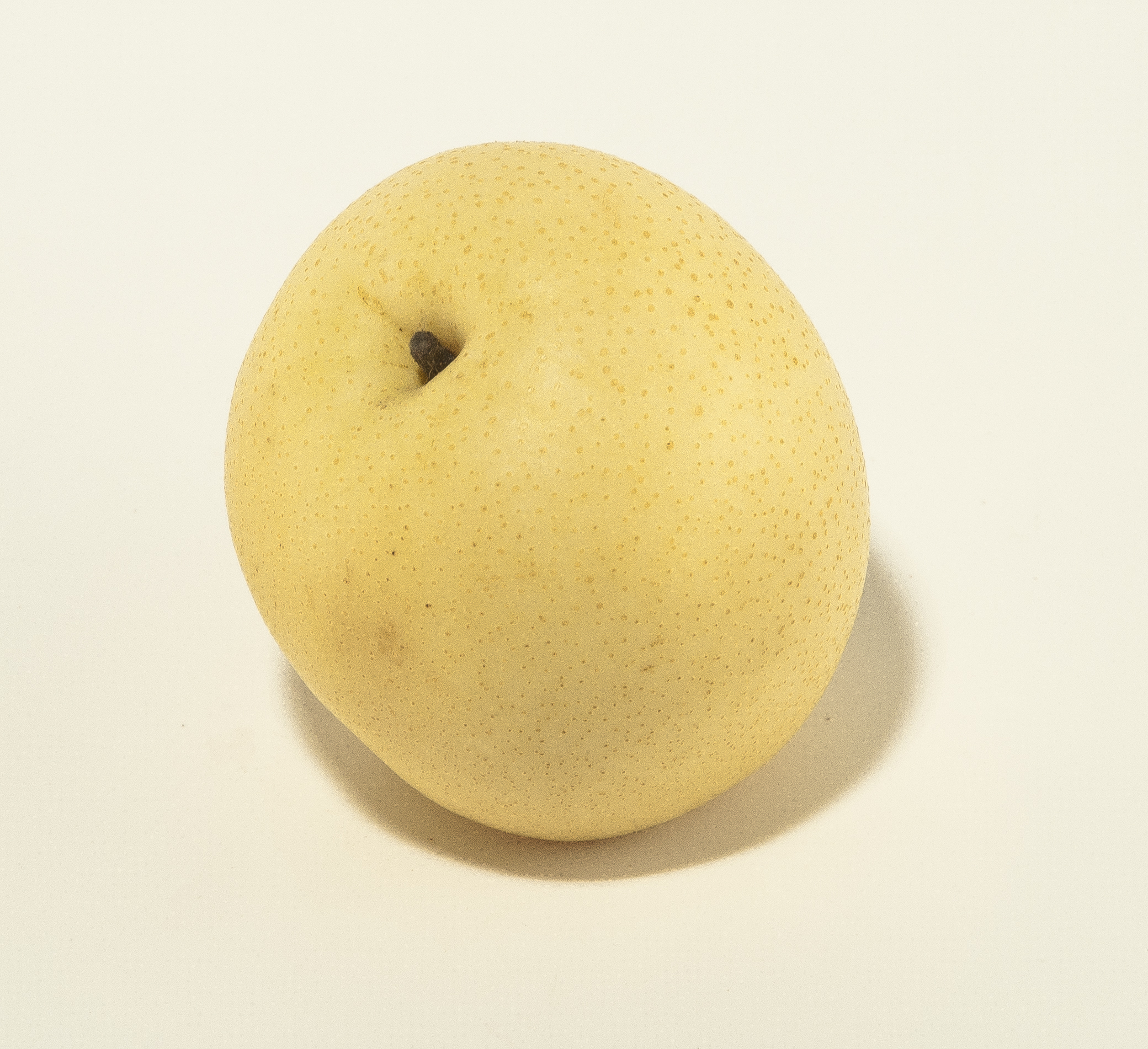 Päron Nashi Klass 1