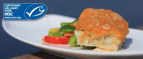 Fisk med Mandel 160g MSC