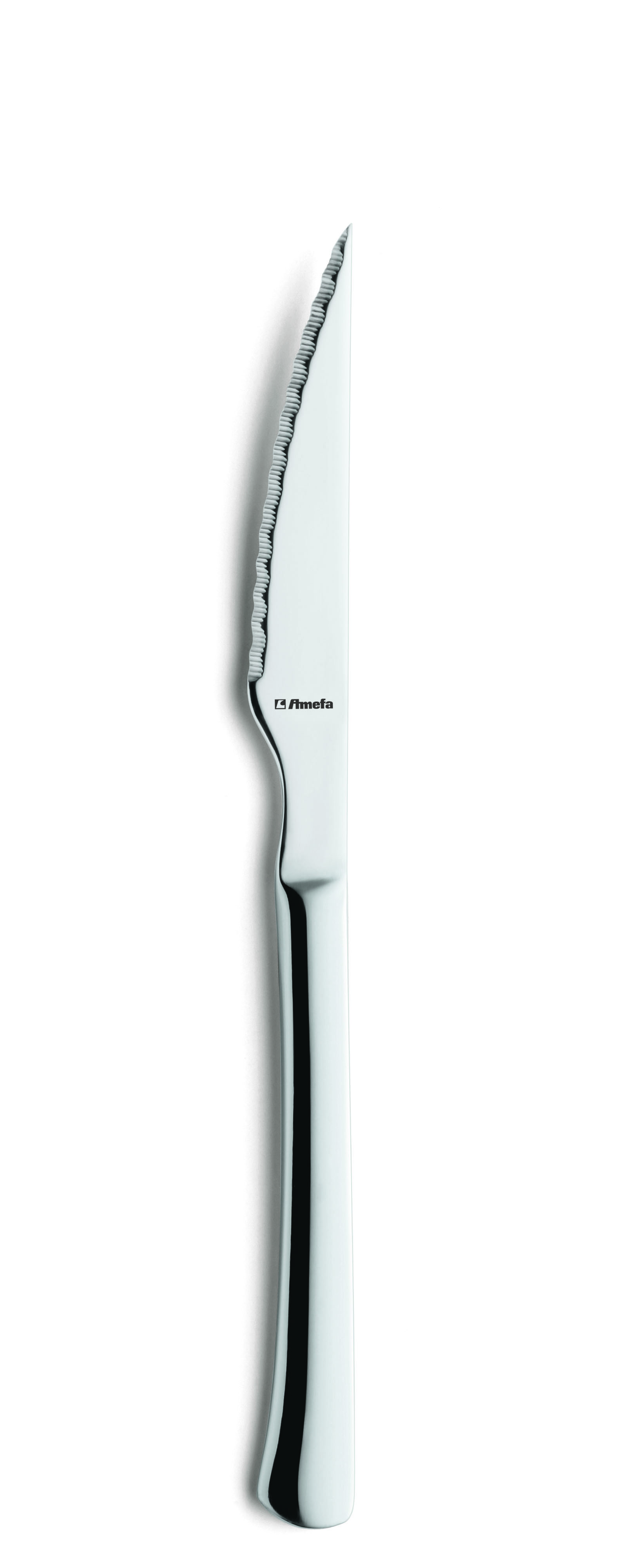 Stekkniv Rostfri 13/0 225mm