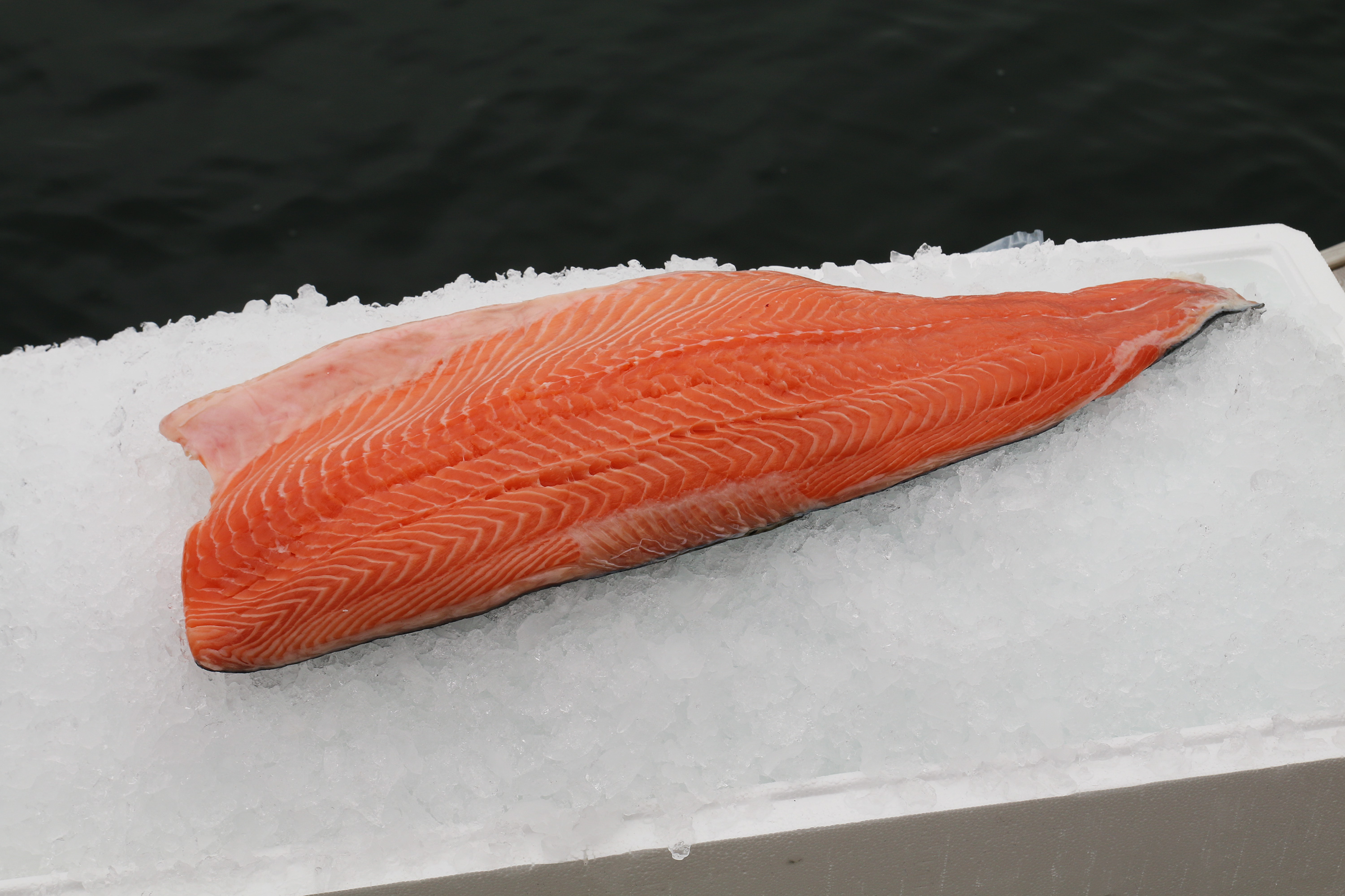 Laxfilé utan Skinn C-trim Vakuumpackad