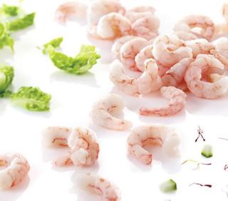 Ishavsräkor i Lake 300-500/lb MSC