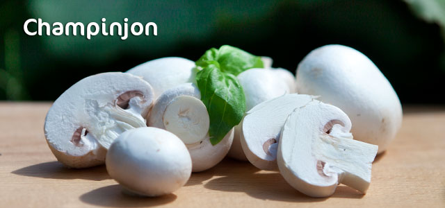 Champinjon EKO KRAV Sverige