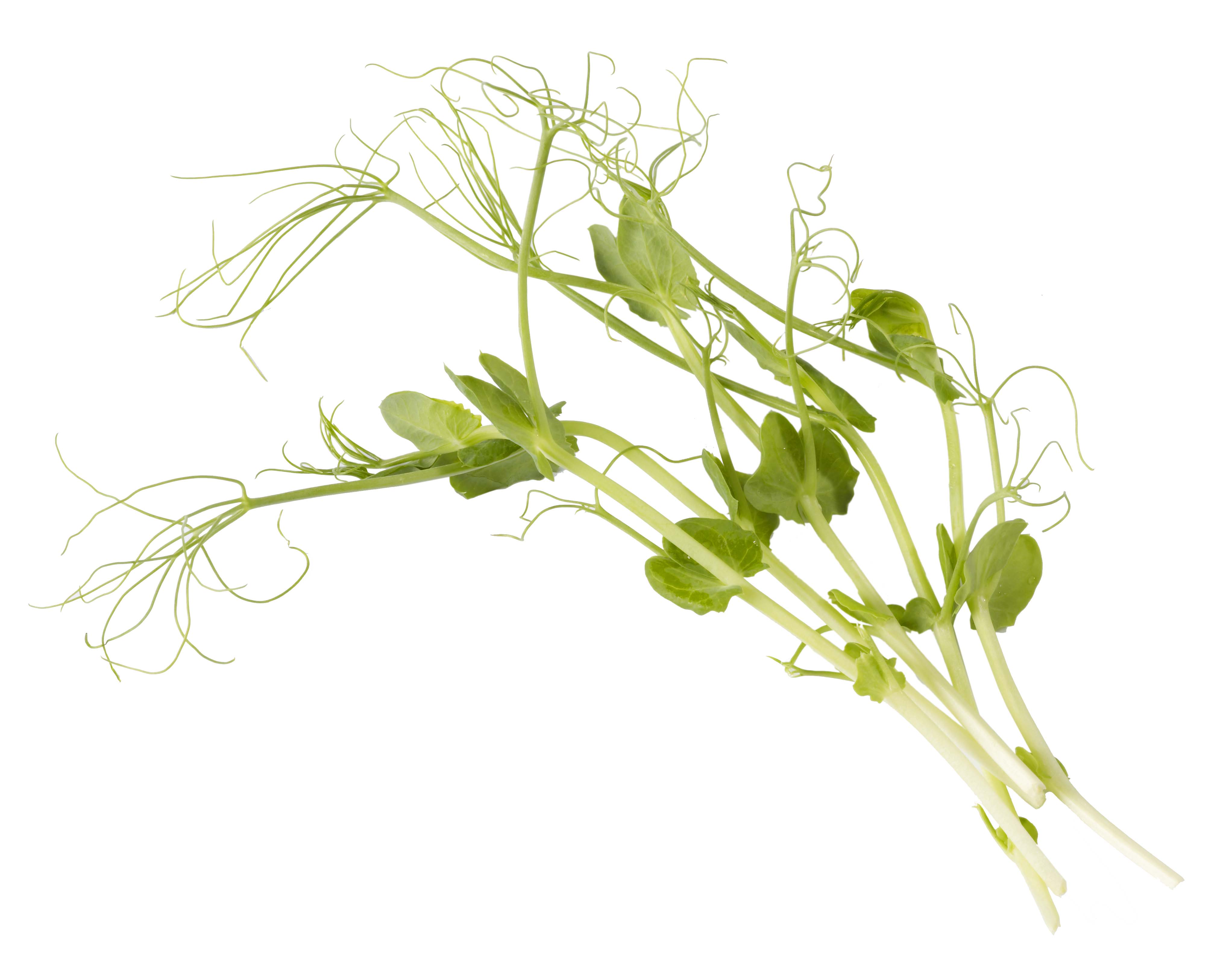 Ärtskott 1kg EKO KRAV Sverige