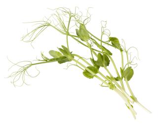 Ärtskott 1kg EKO KRAV Sverige