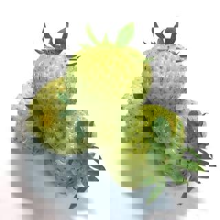 Jordgubbar Gröna Klass 1