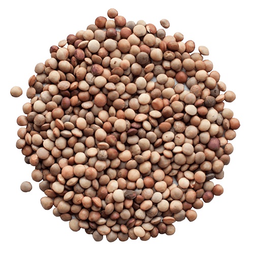 Gotlandslinser EKO KRAV