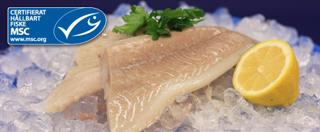 Sejfilé Tails 130-160g MSC