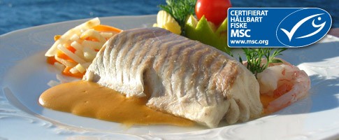 Sej Ryggfilé 100-120g MSC