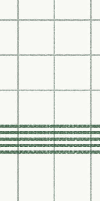 Servett Dunisoft Towel Napkin 1/8-lag 48x48cm
Grön