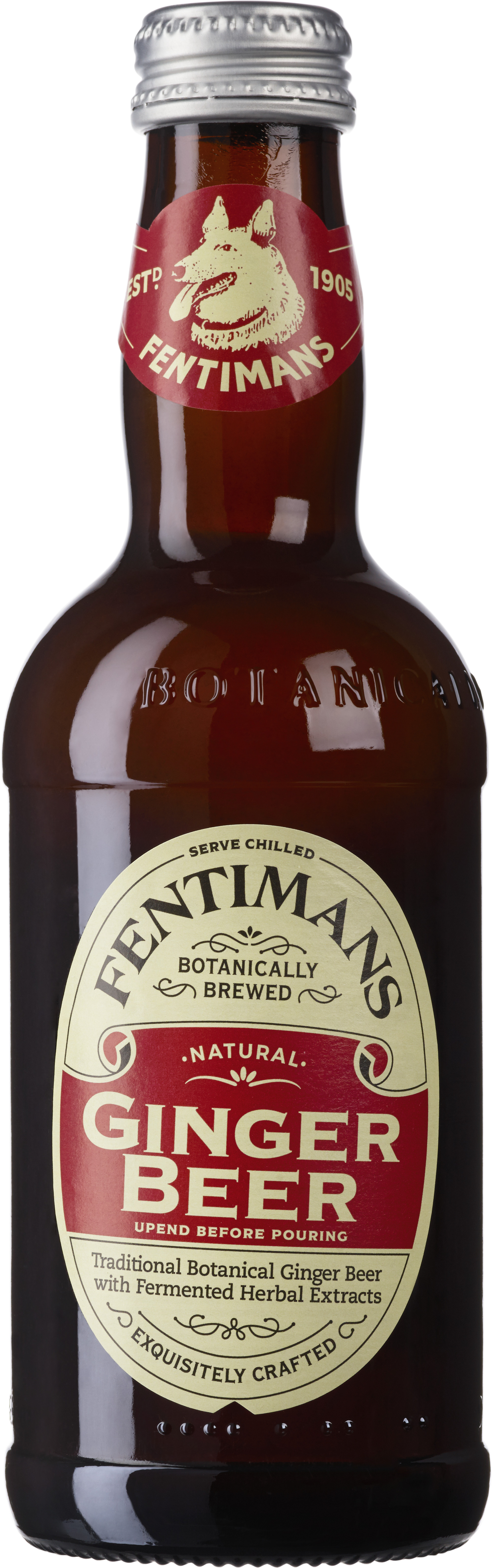 Ginger Beer ENGL