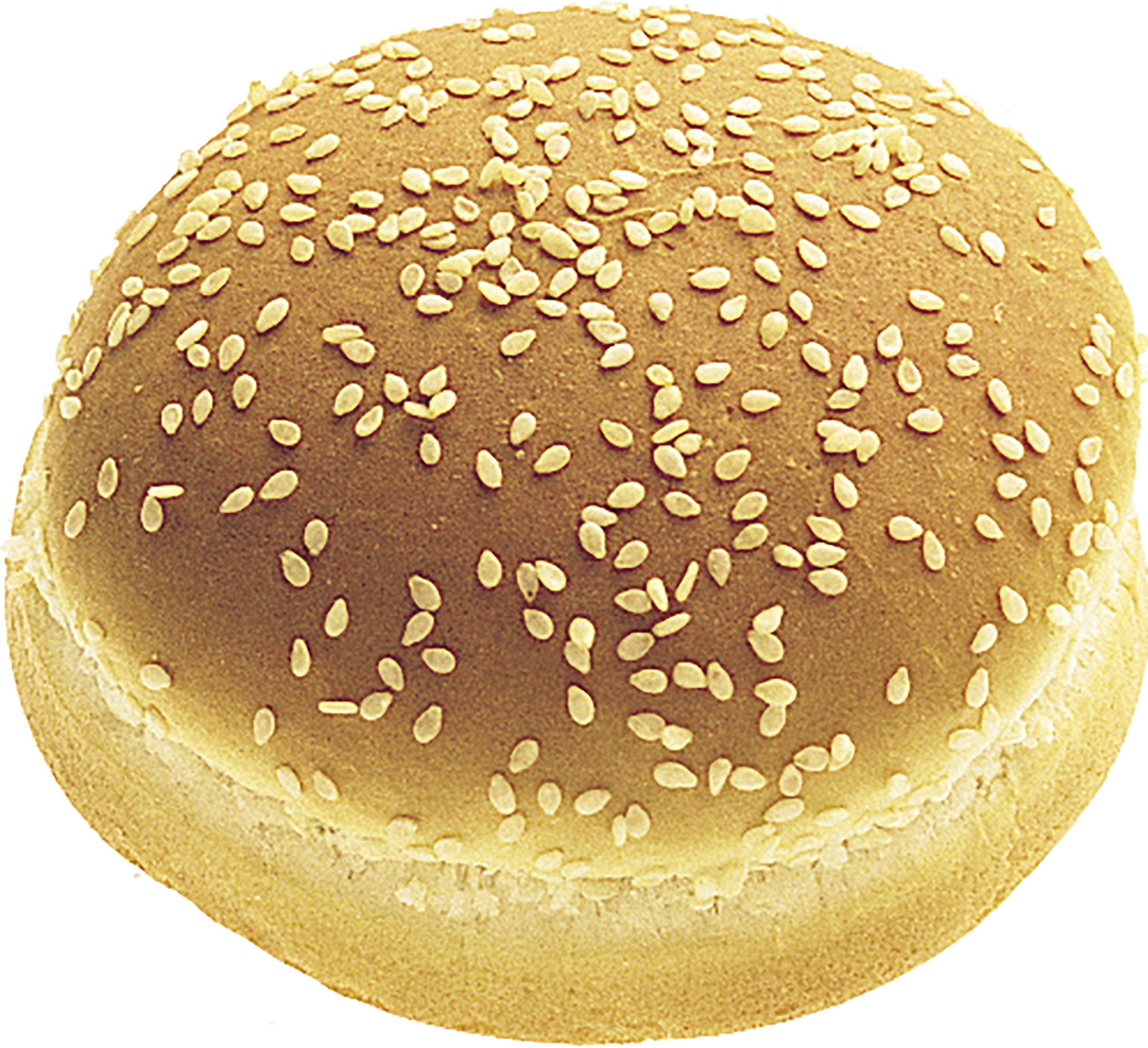 Hamburgerbröd Soft Sesam 56g