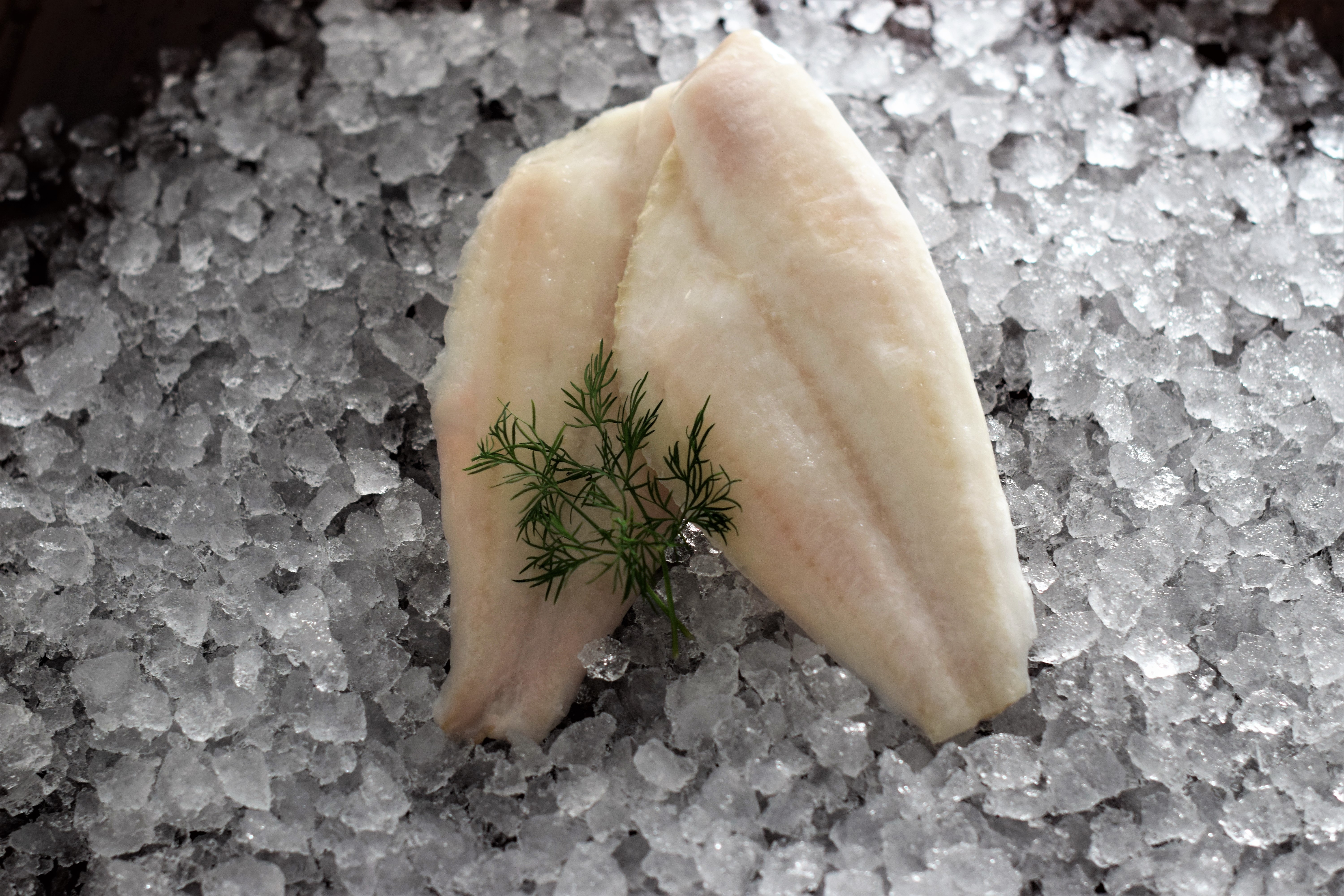 Stillahavsskäddafilé 80-120g MSC