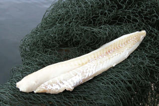 Koljafilé 125-250g MSC