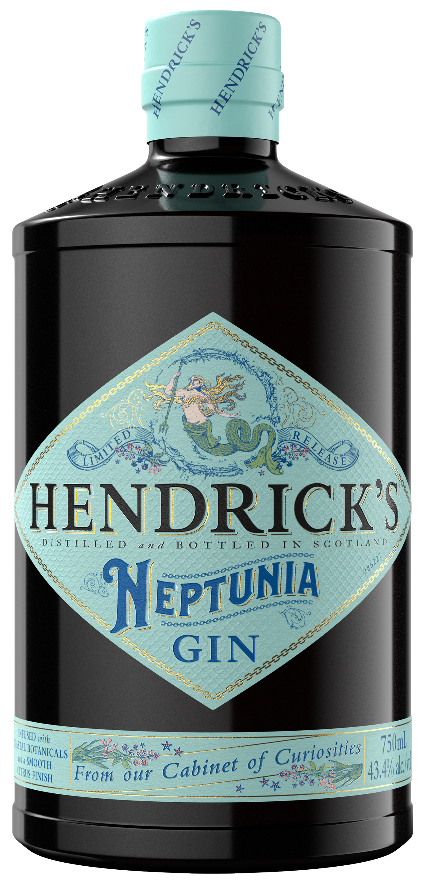 Hendrick's Neptunia