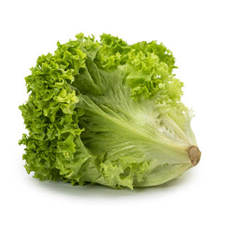 Sallat Lollo Biondo Klass 1 Sverige