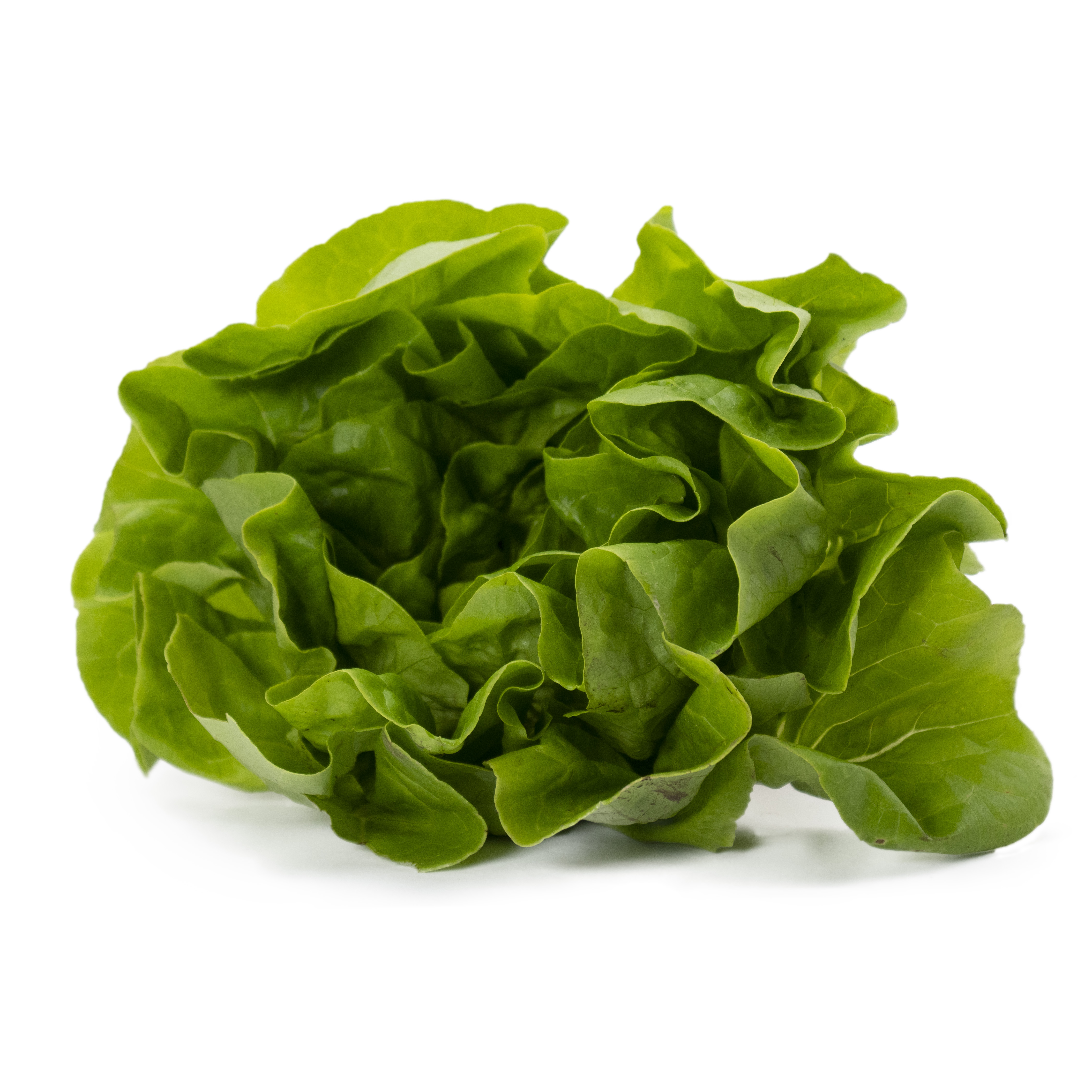 Huvudsallat Klass 1 Sverige