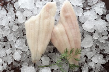 Stillahavskungsflundra 120-160g MSC