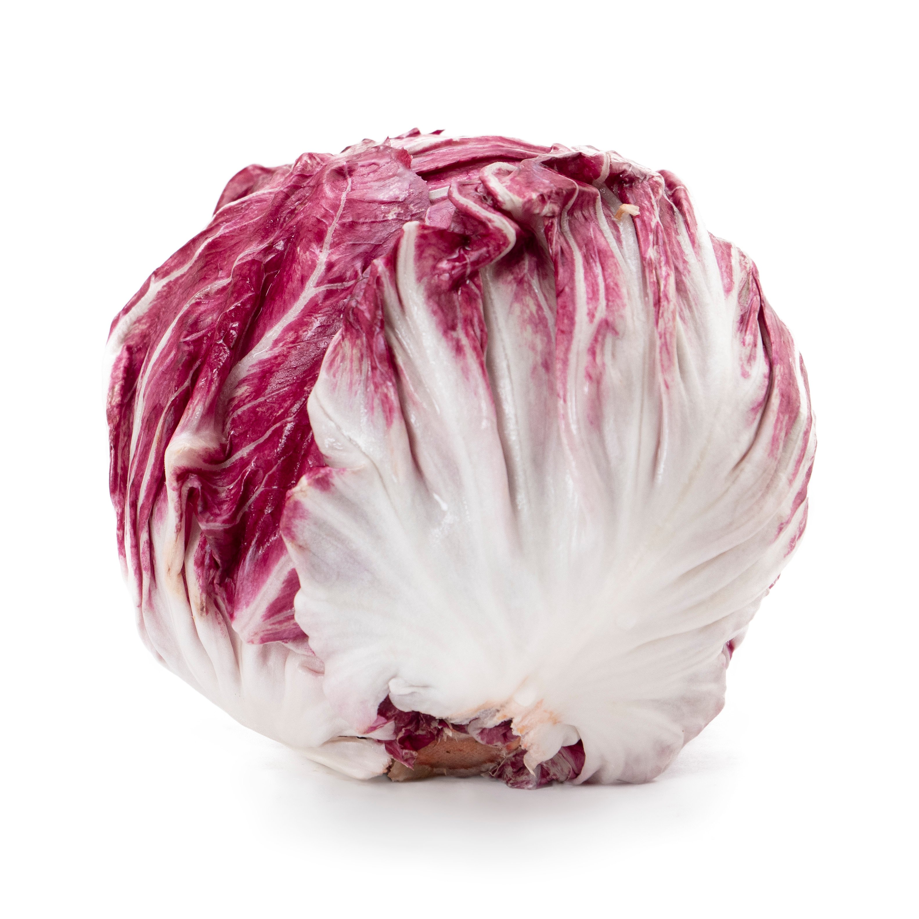 Roseesallat Klass 1 Sverige