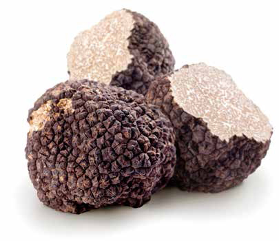 Tryffelsvamp Svart Sommar