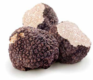 Tryffelsvamp Svart Sommar