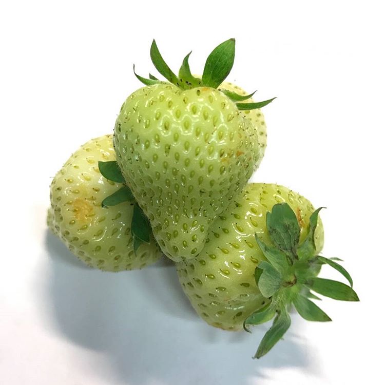 Jordgubbar Gröna Klass 1 Sverige