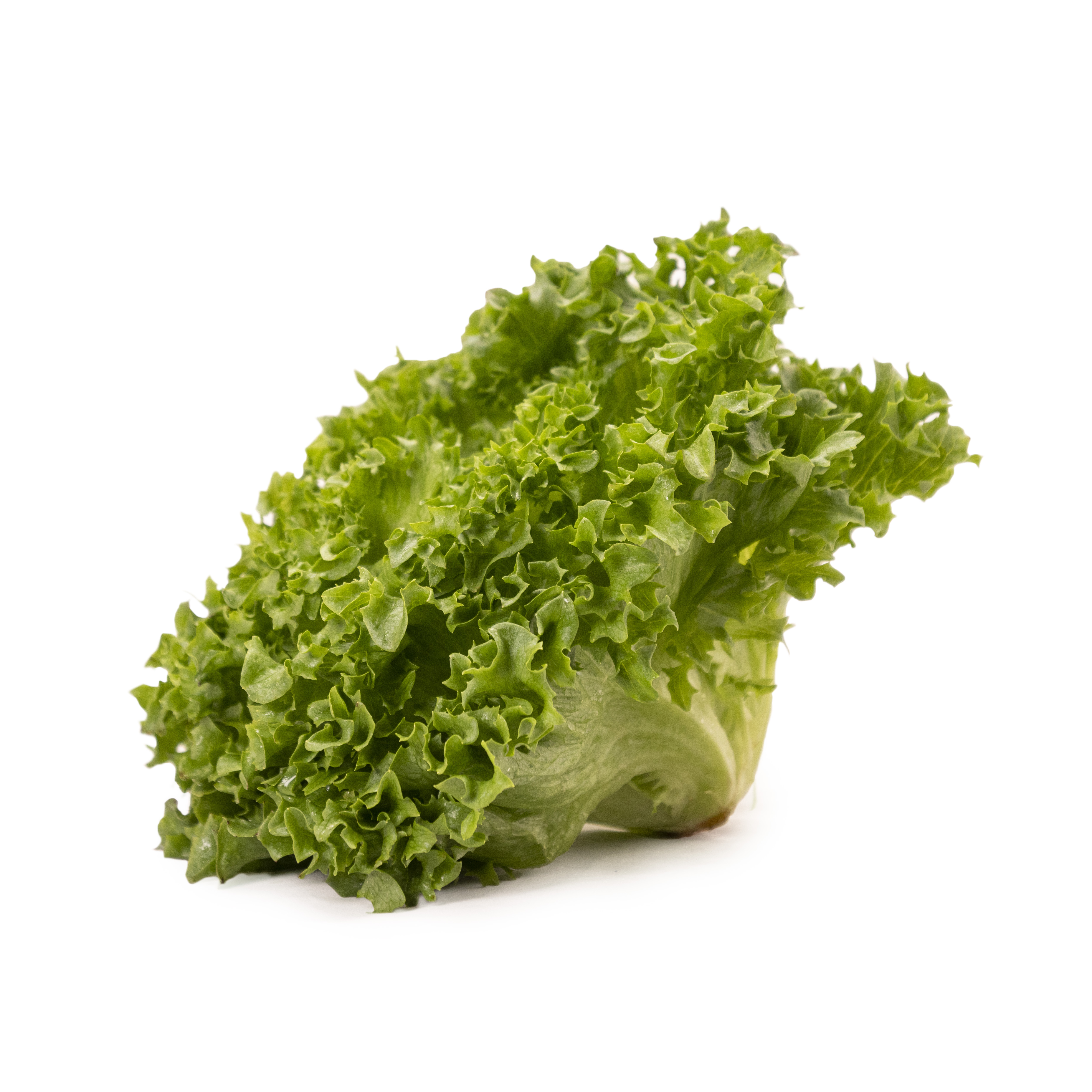 Krispsallat Klass 1 EKO KRAV Sverige