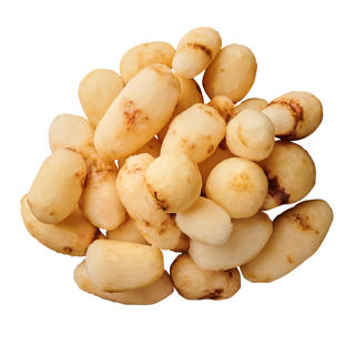 Jordärtskocka Skalad