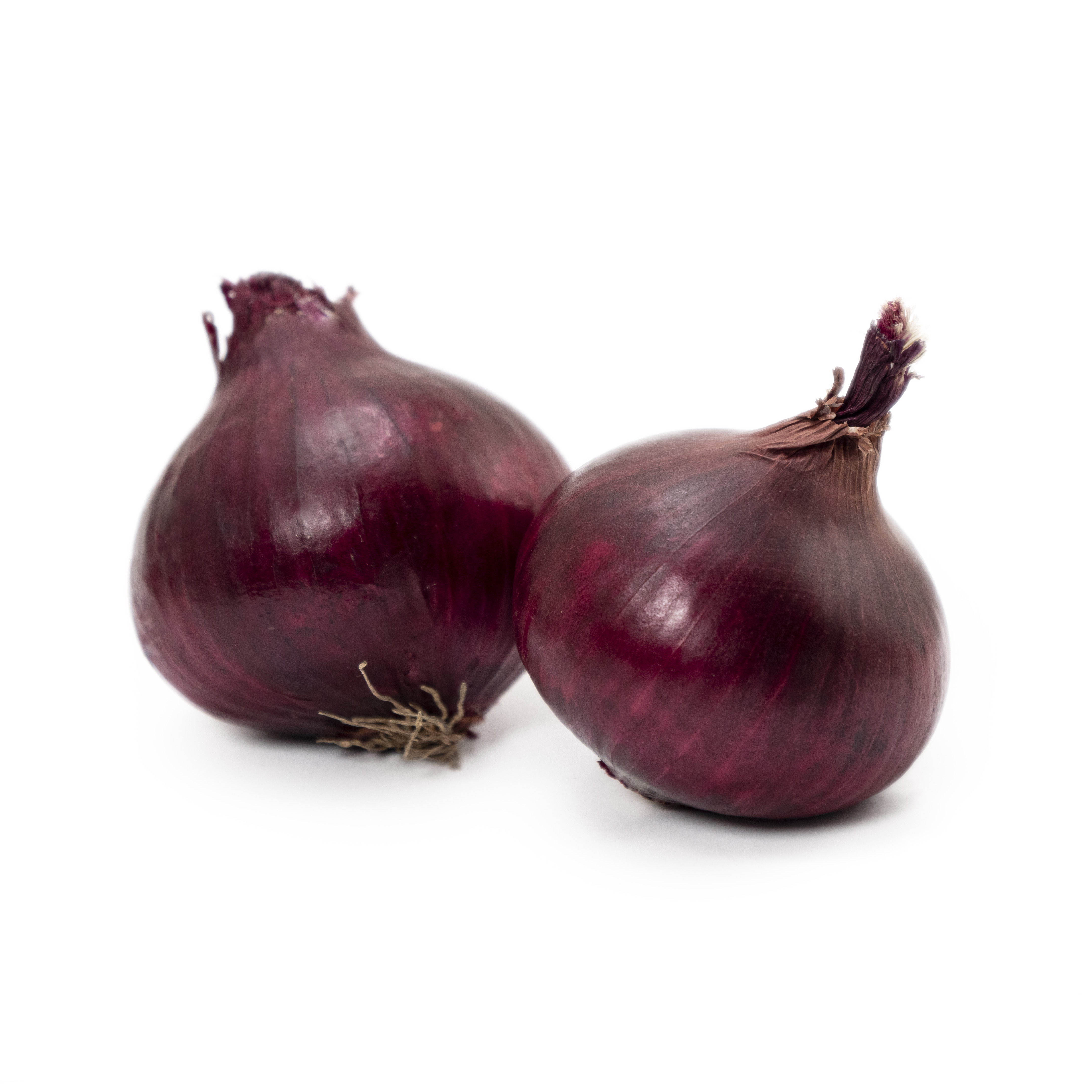 Rödlök i Nät Klass 1 Sverige