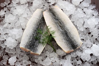 Sill/Strömmingfilé 50-80g MSC