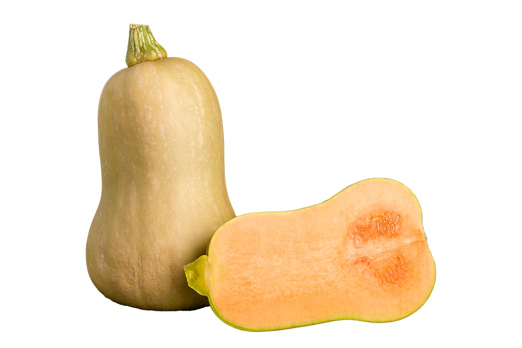 Butternut Squash Pumpa Sverige