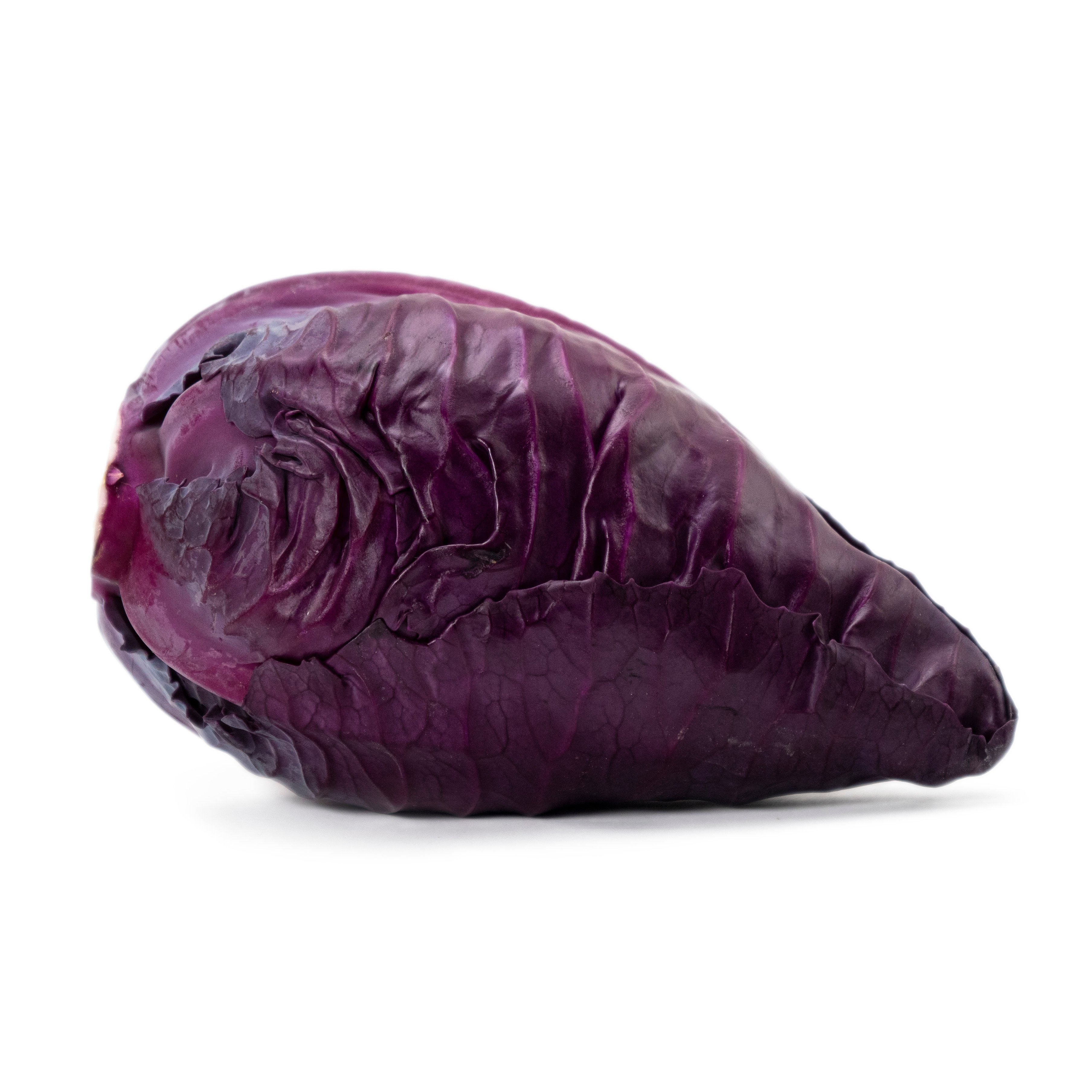 Spetskål Röd Sverige