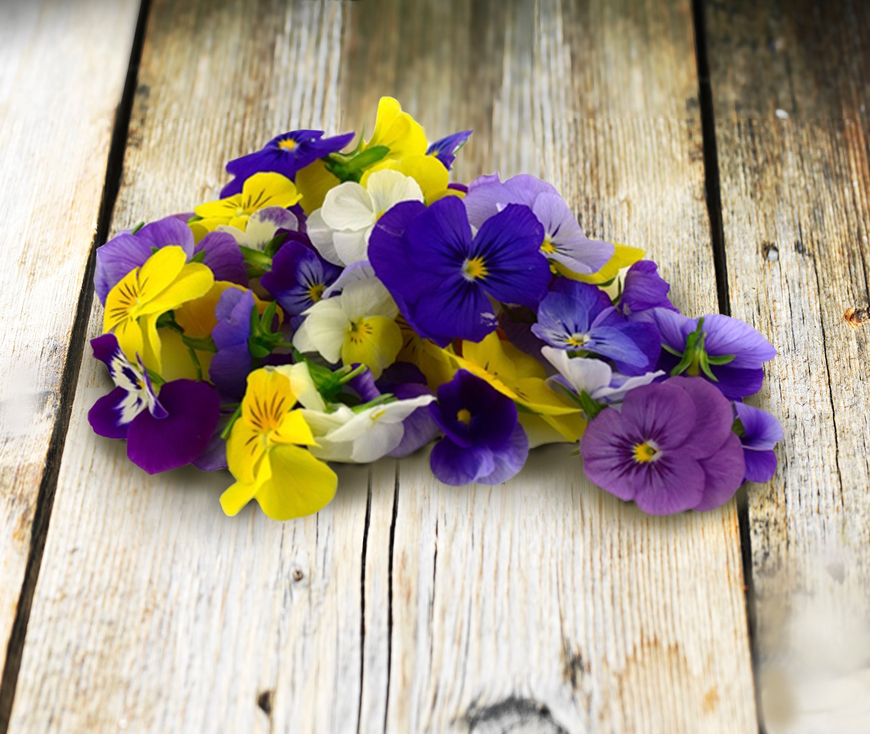 Blomma Pensé Ätlig 40st