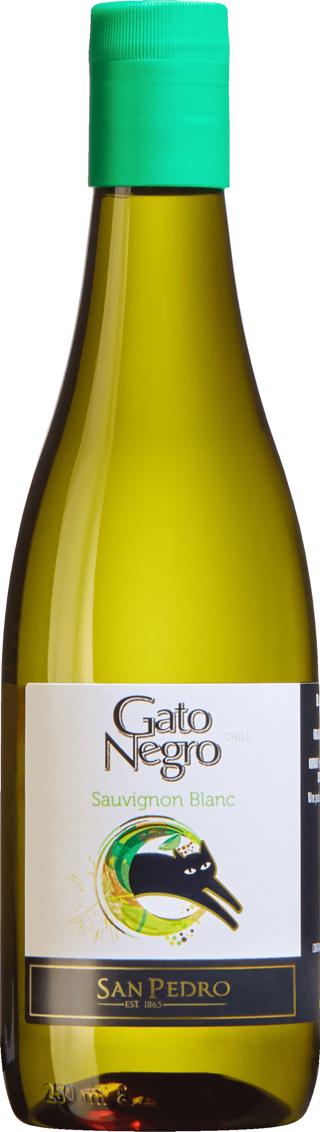 Gato Negro Sauvignon Blanc PET
