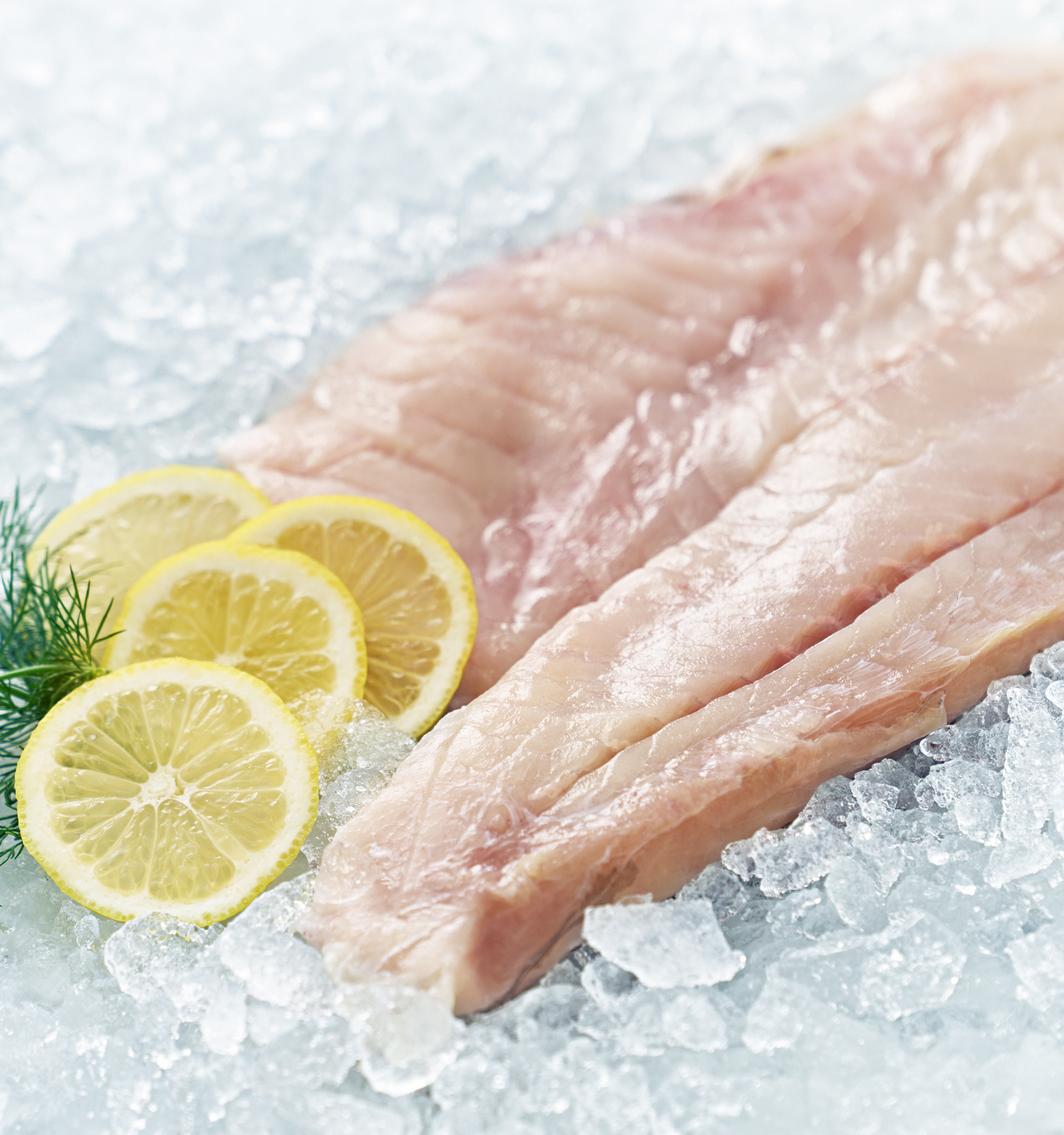 Sejfilé Benfri 200-300g MSC