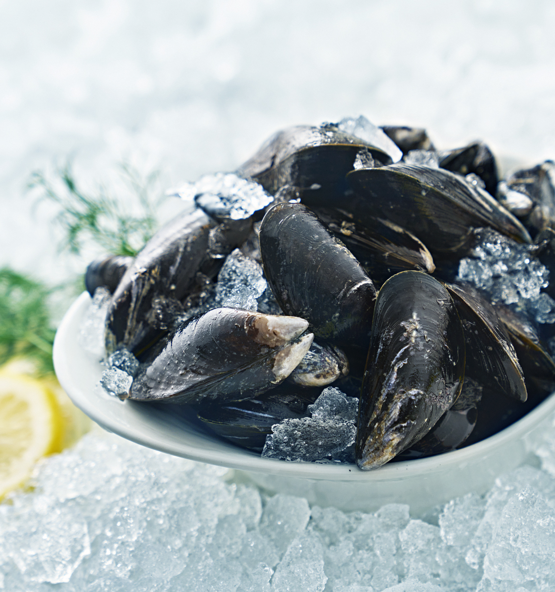 Blåmusslor EKO KRAV