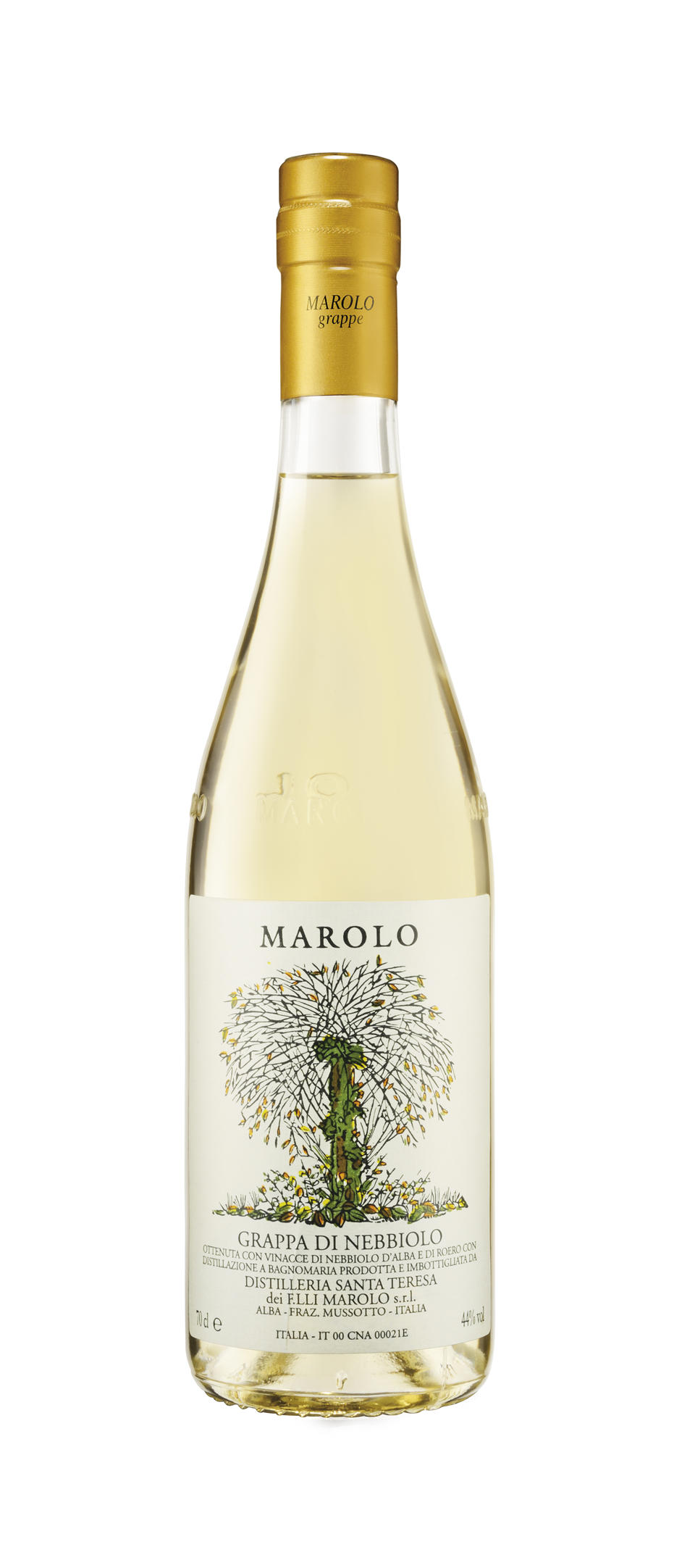 Marolo Nebbiolo