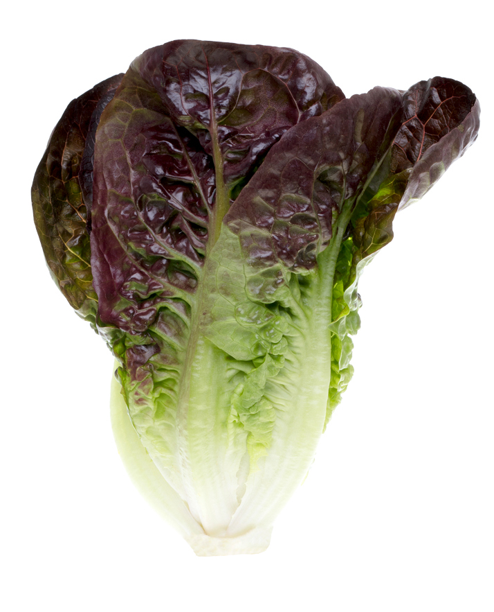 Hjärtsallat Röd 2-pack