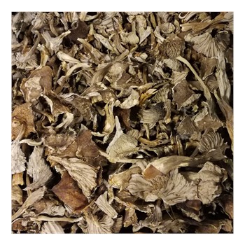 Trattkantarell Torkad