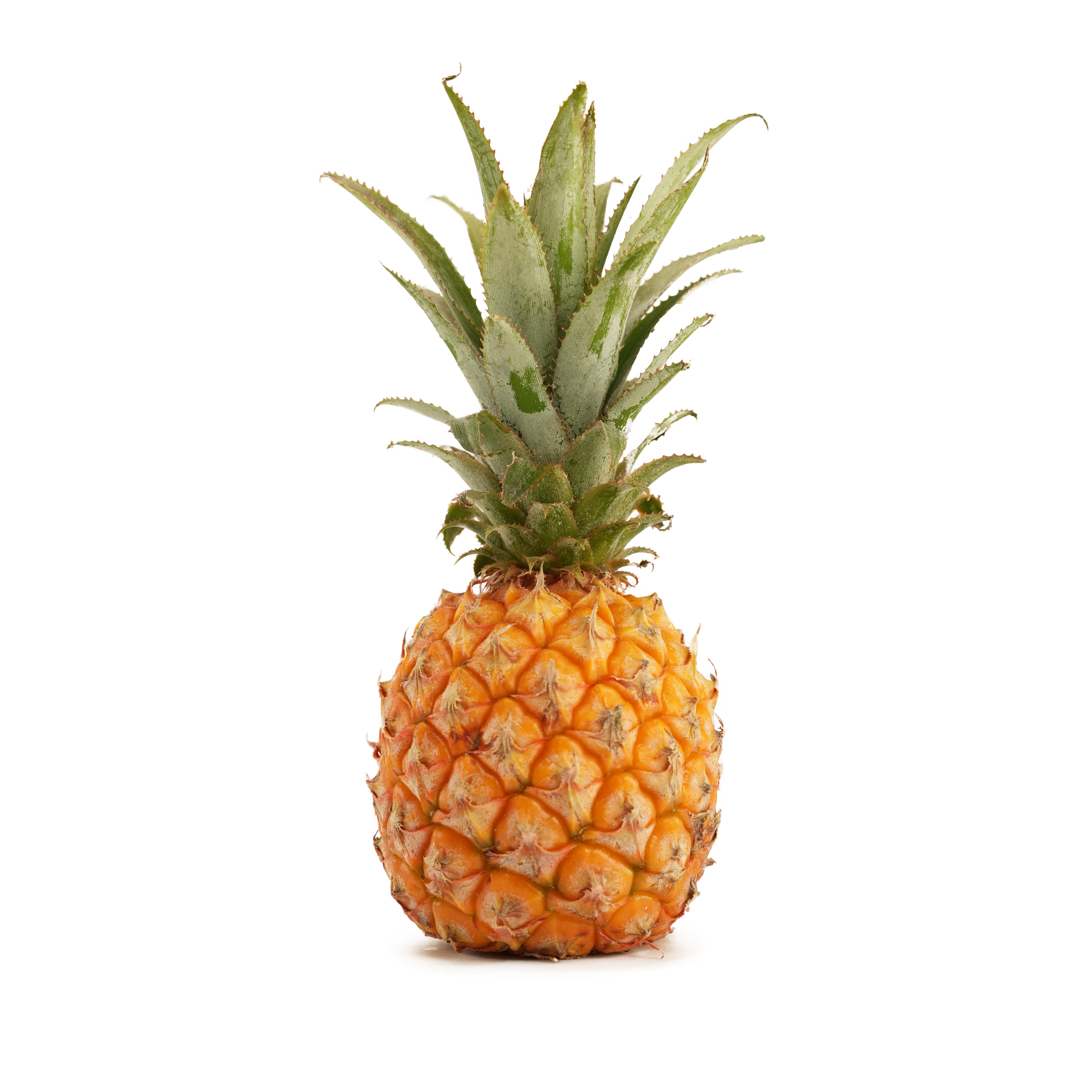 Ananas Mini