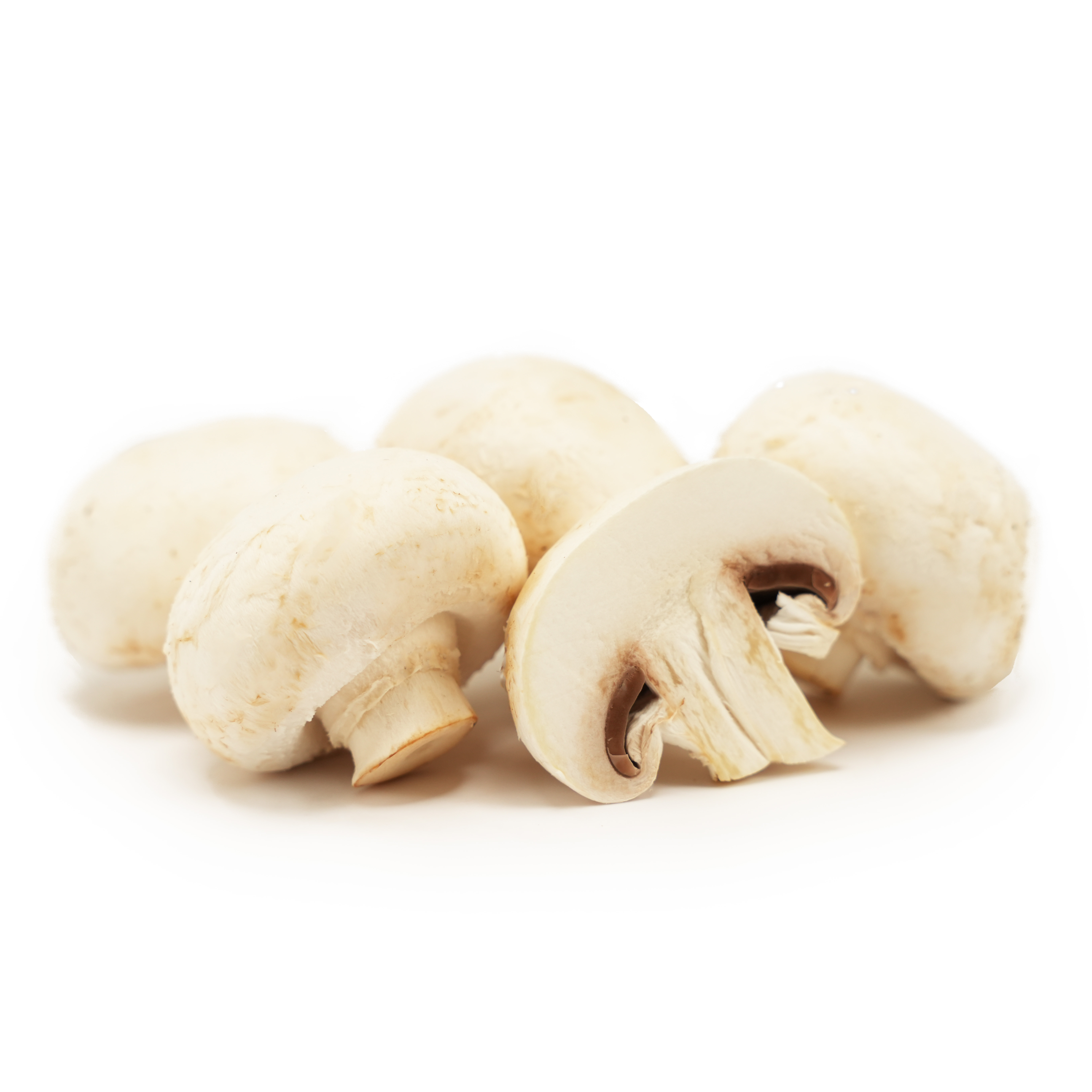 Champinjon Basic Hel Låda